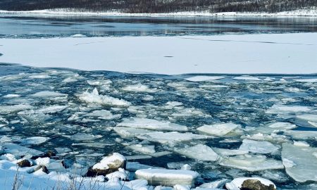 Таяние льда на реке
