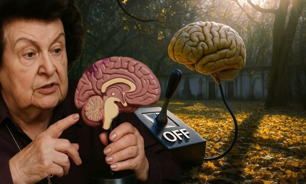 Академик Бехтерева