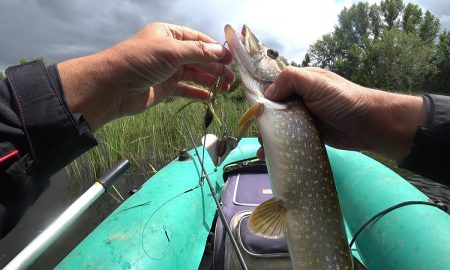 Рыбалка на Урале