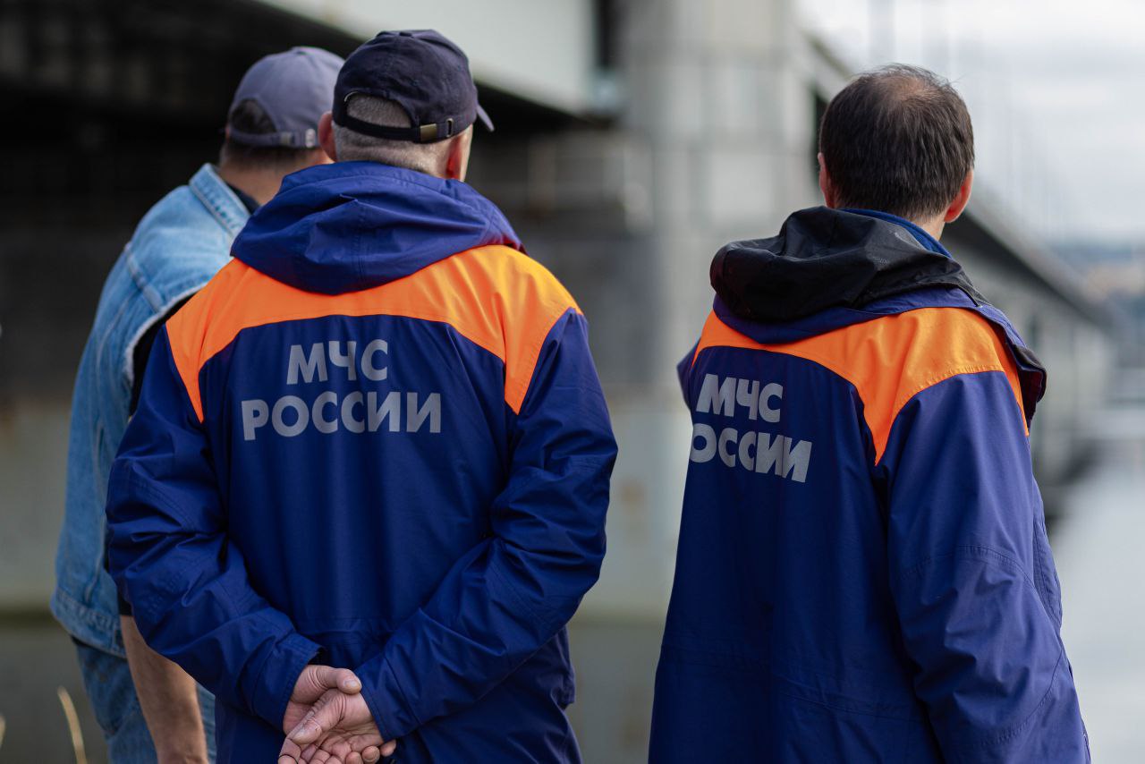 МЧС осматривает территорию