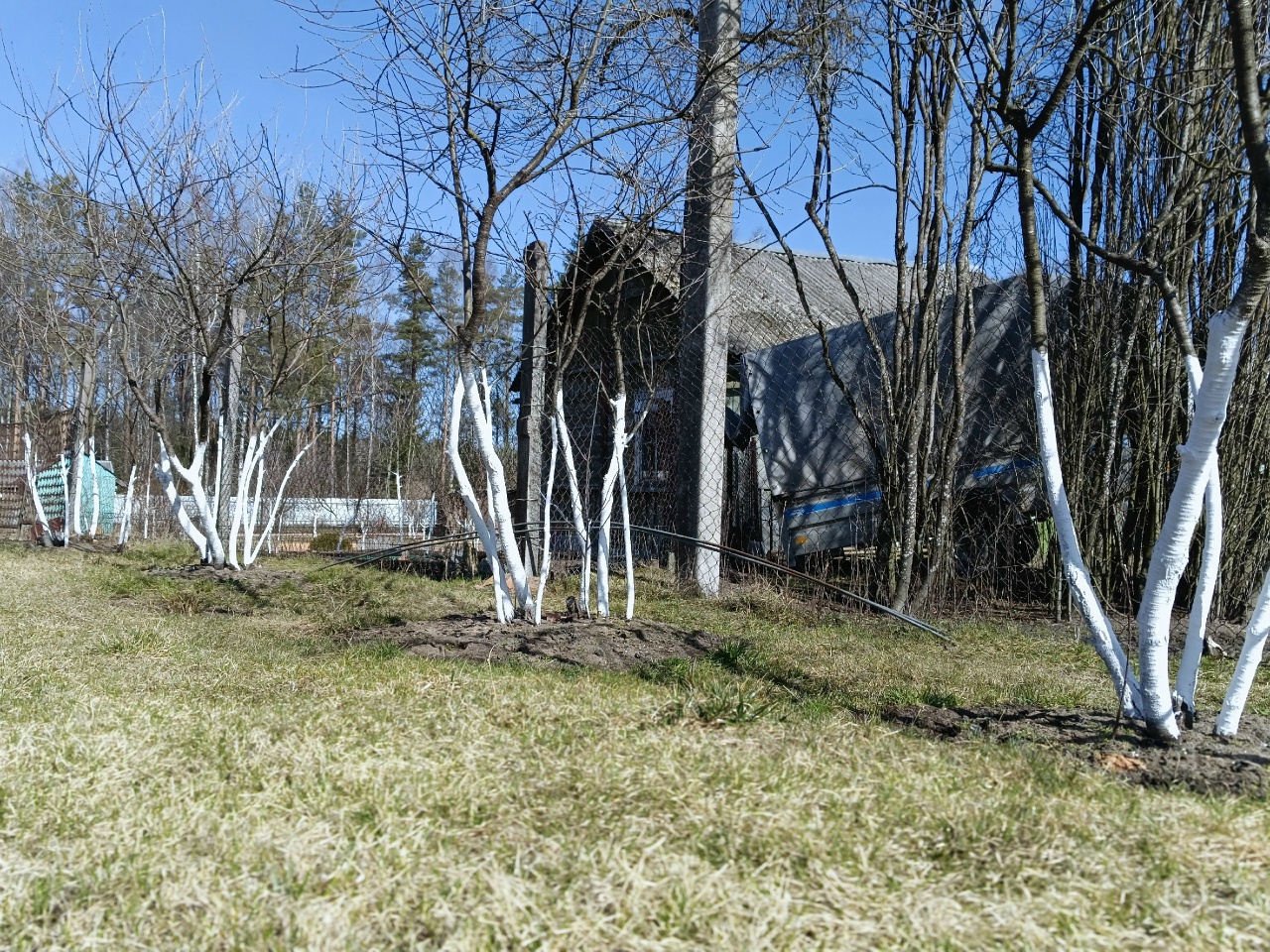 Весенний огород с деревьями