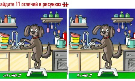 Собака моет посуду