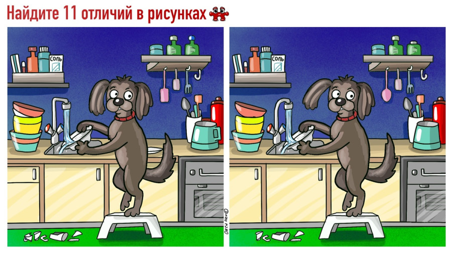 Собака моет посуду