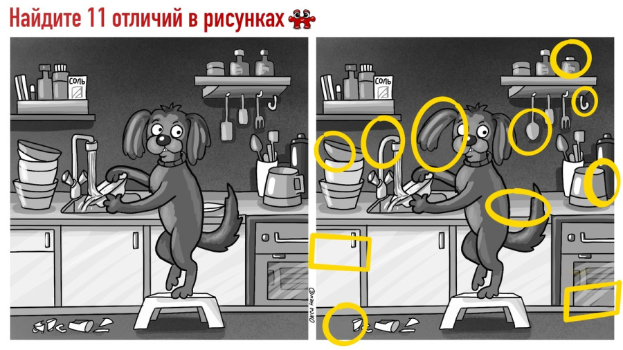 Собака моет посуду