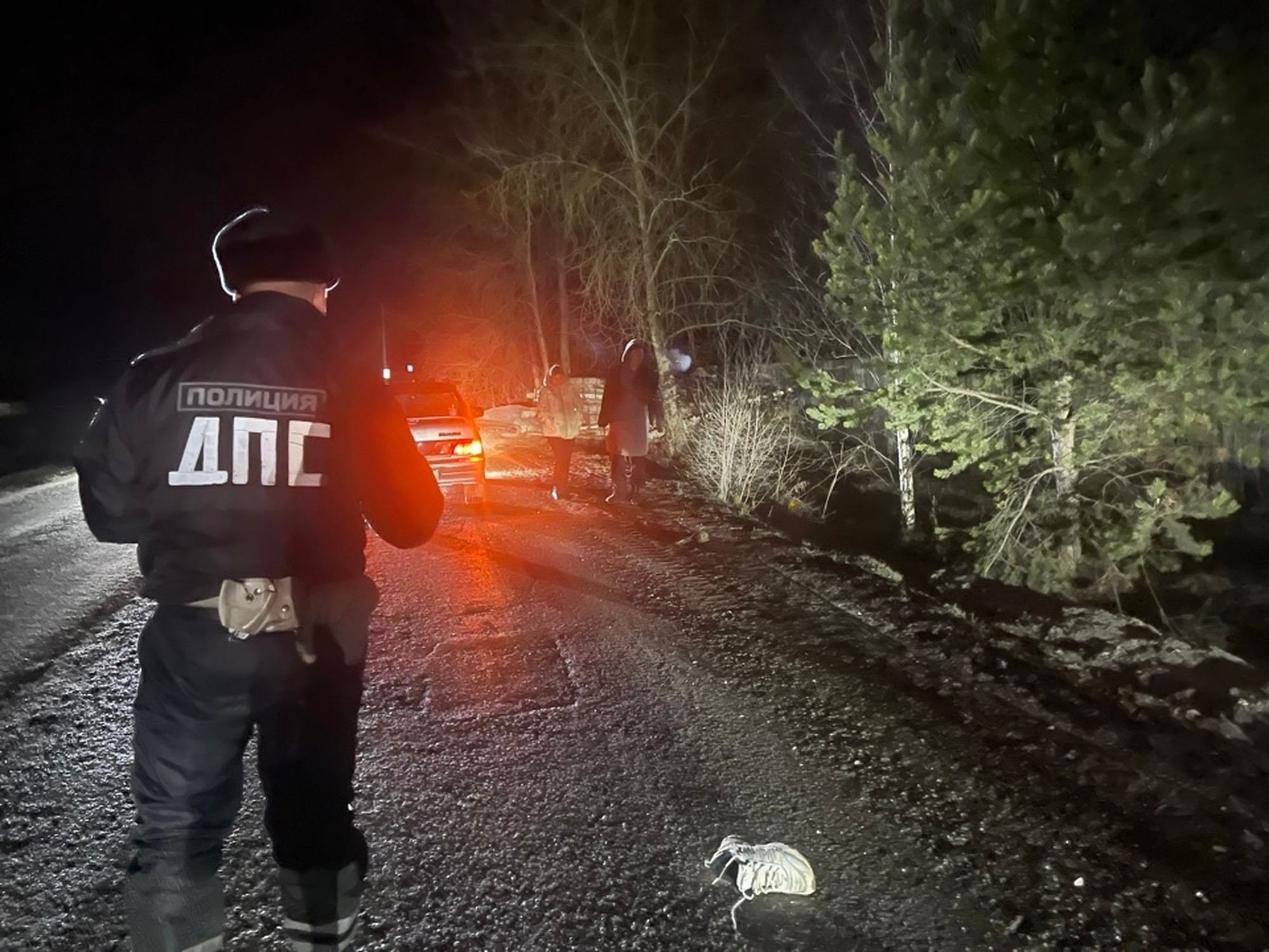 ГАИ работает на месте ДТП