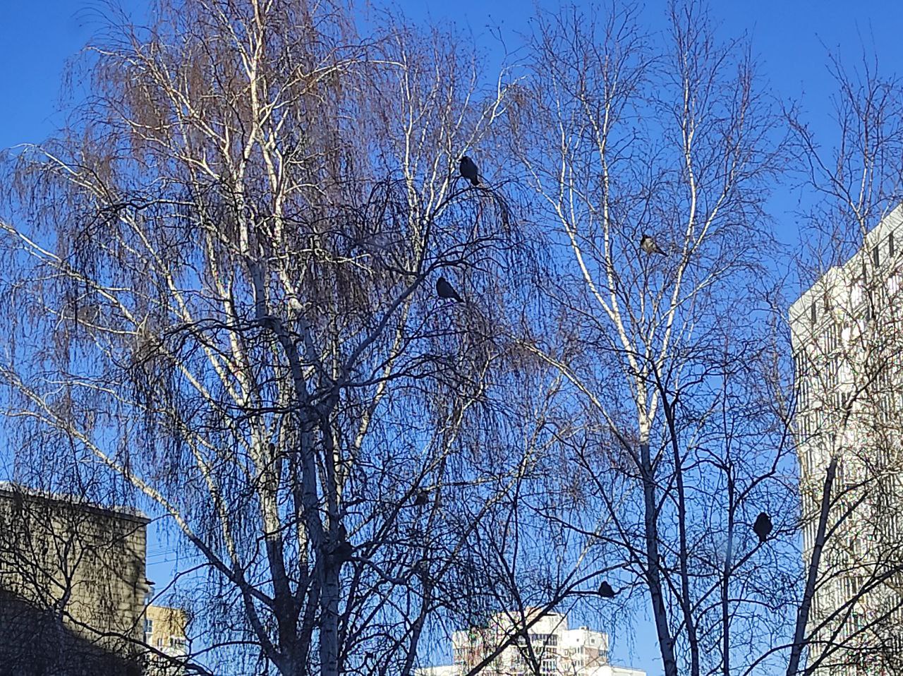 Екатеринбург