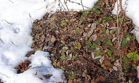 Екатеринбург