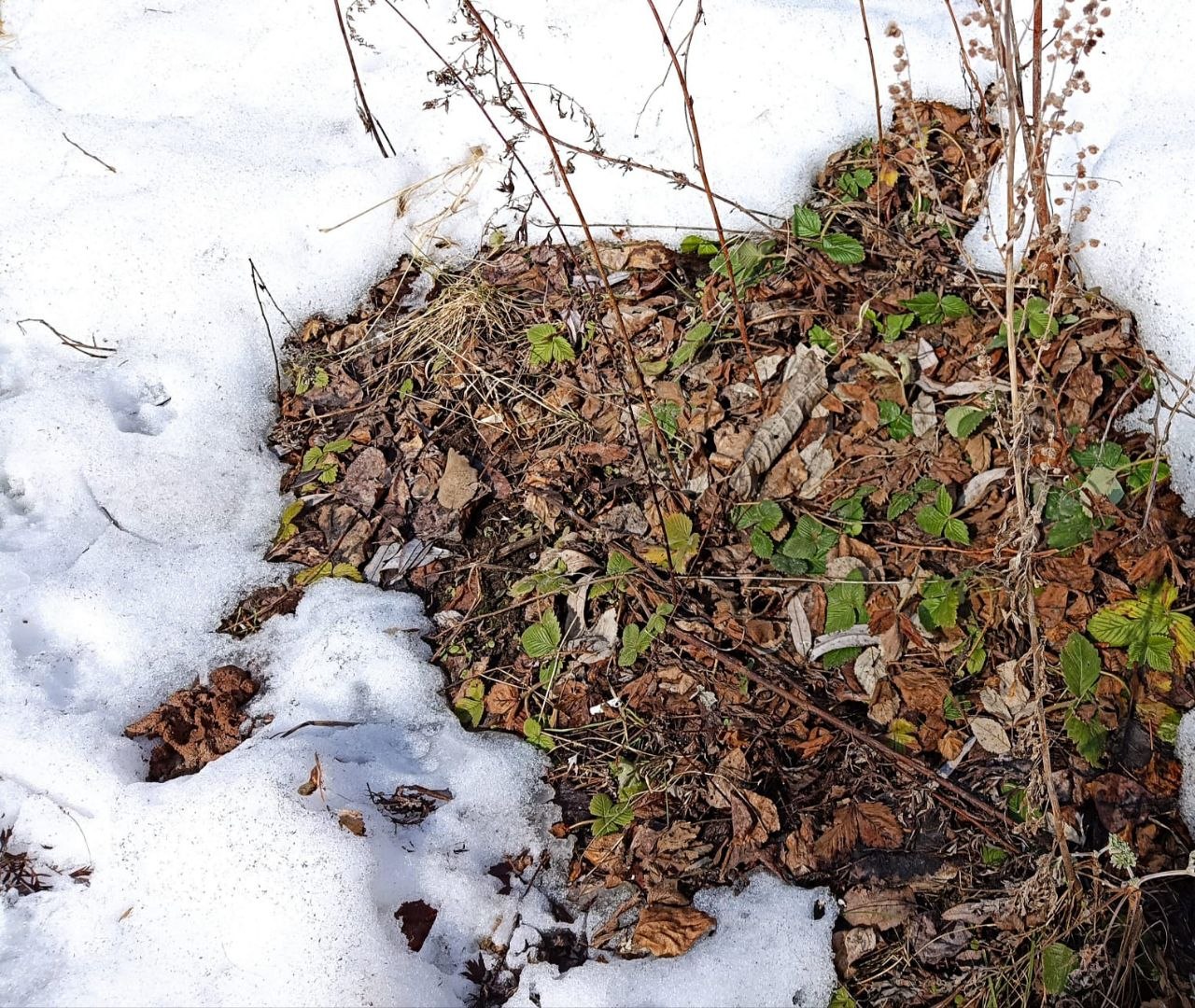 Екатеринбург