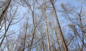 Екатеринбург