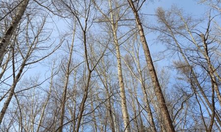 Екатеринбург