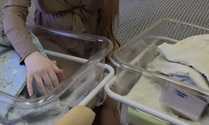 Мать смотрит на двойняшек