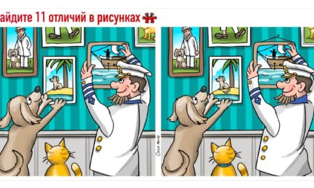 Моряк вешает картины