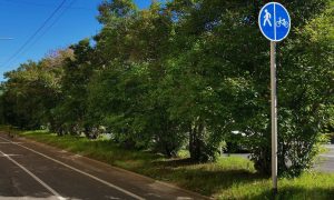 Оборудованная в сквере велодорожка