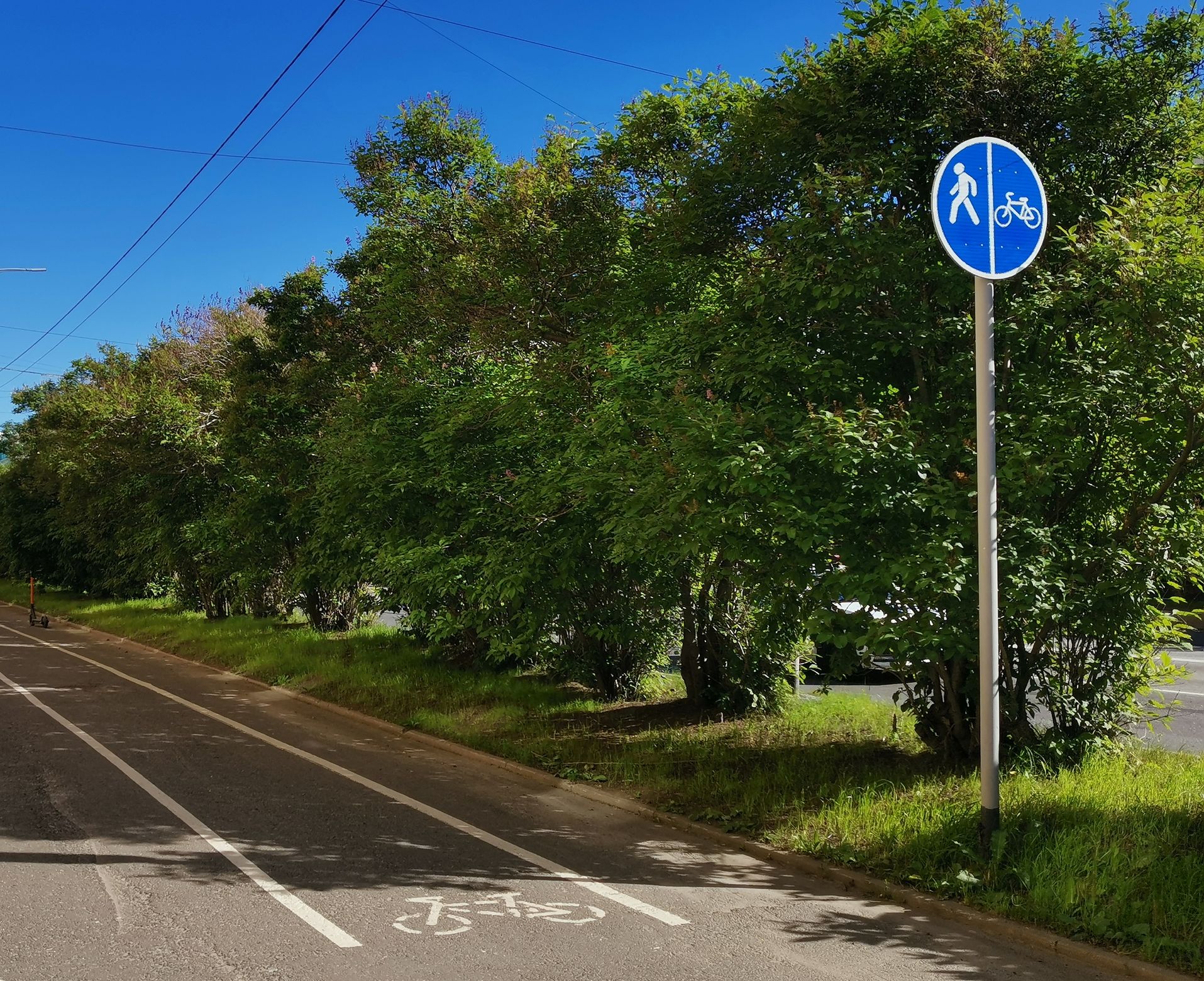 Оборудованная в сквере велодорожка