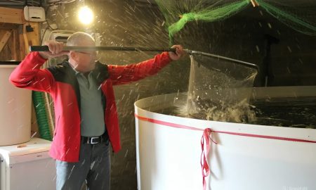 Предприниматель из Ирбита