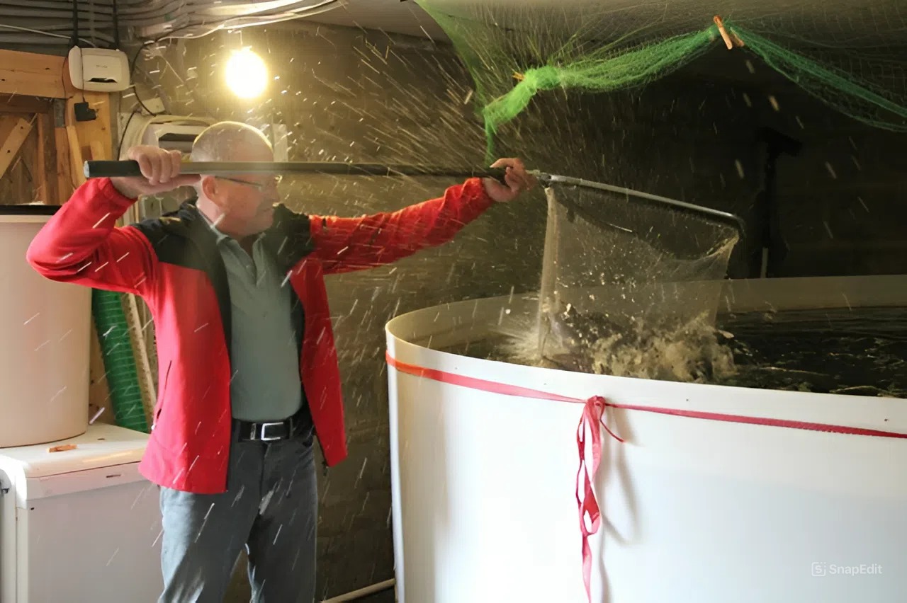 Предприниматель из Ирбита