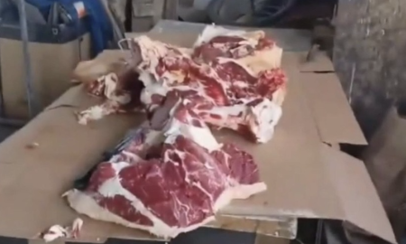 Антисанитария на кухне