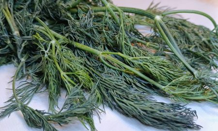 На столе лежит укроп