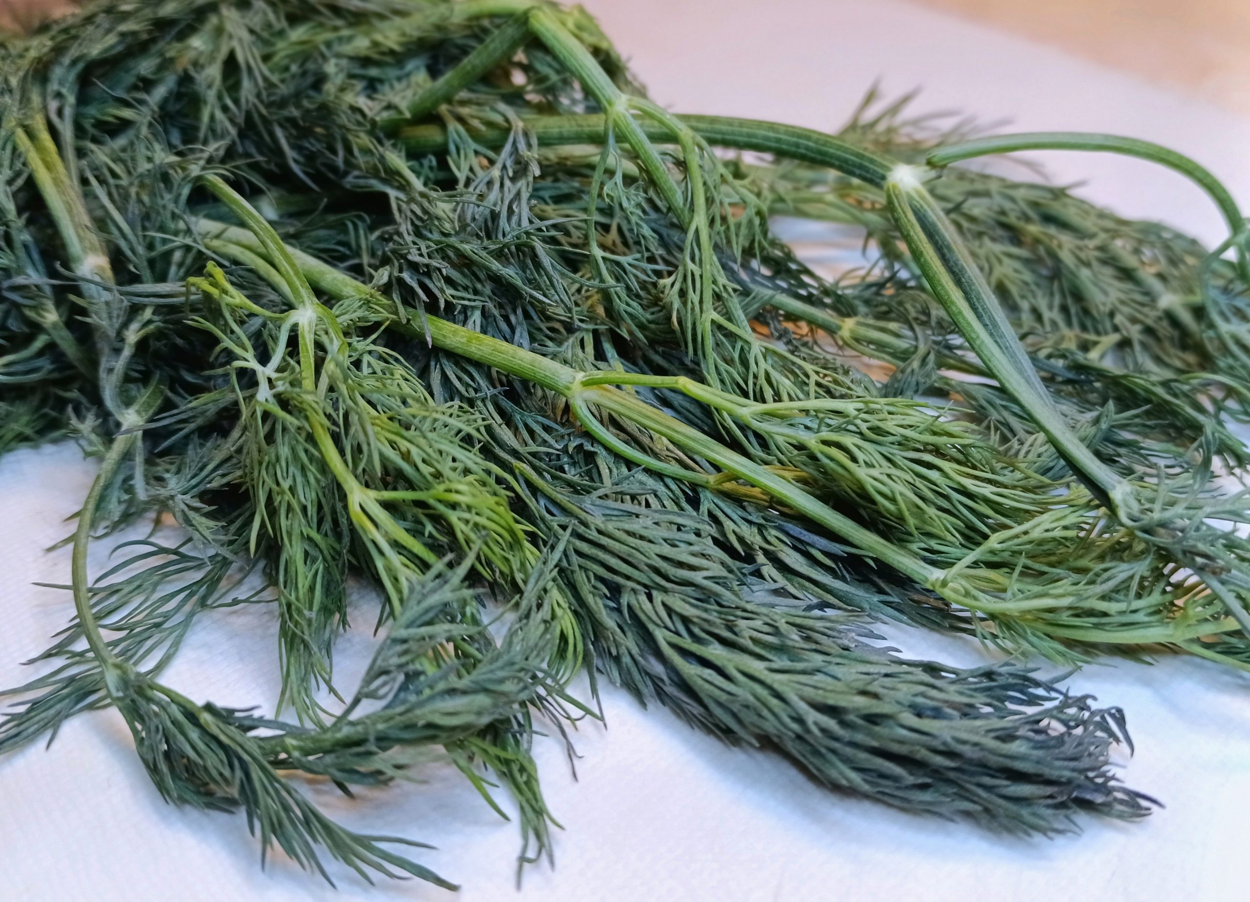 На столе лежит укроп