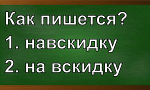 правописание слова навскидку
