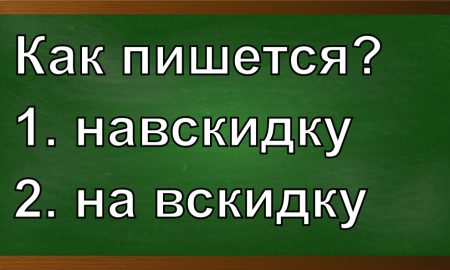 правописание слова навскидку