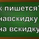 правописание слова навскидку