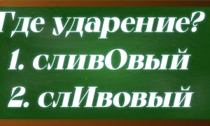 ударение в слове сливовый