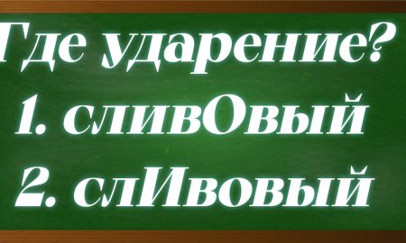 ударение в слове сливовый