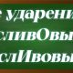 ударение в слове сливовый