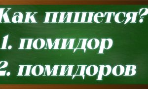 правописание окончания в слове помидор