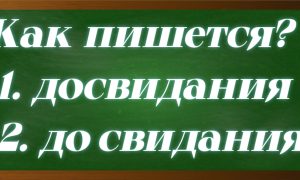 правописание словосочетания до свидания