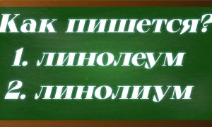 правописание слова линолеум
