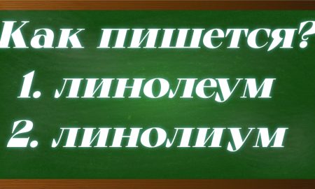 правописание слова линолеум