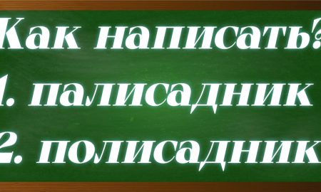 правописание слова палисадник