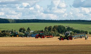 Сельское хозяйство