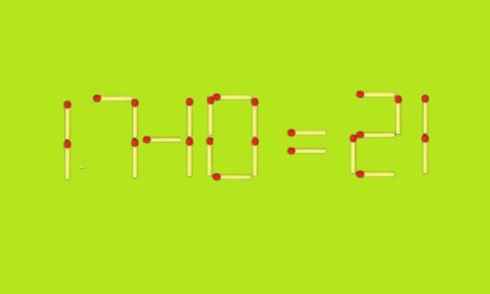 Из спичек сделан пример