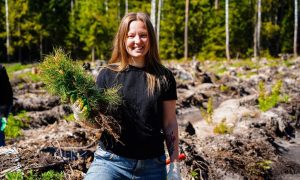 Девушка держит саженец ели