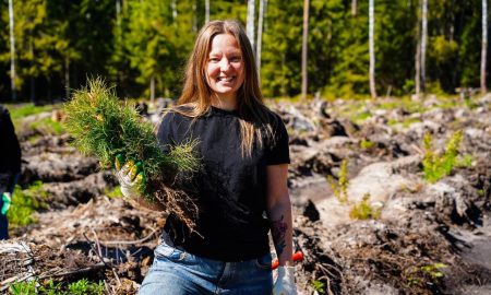 Девушка держит саженец ели