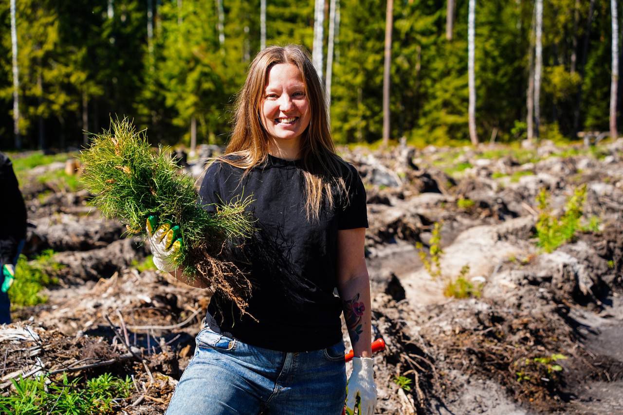 Девушка держит саженец ели