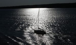 Лето в городе