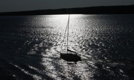 Лето в городе