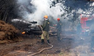 Тушение лесного пожара