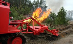 Лесной пожар