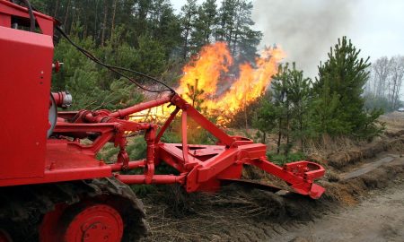 Лесной пожар