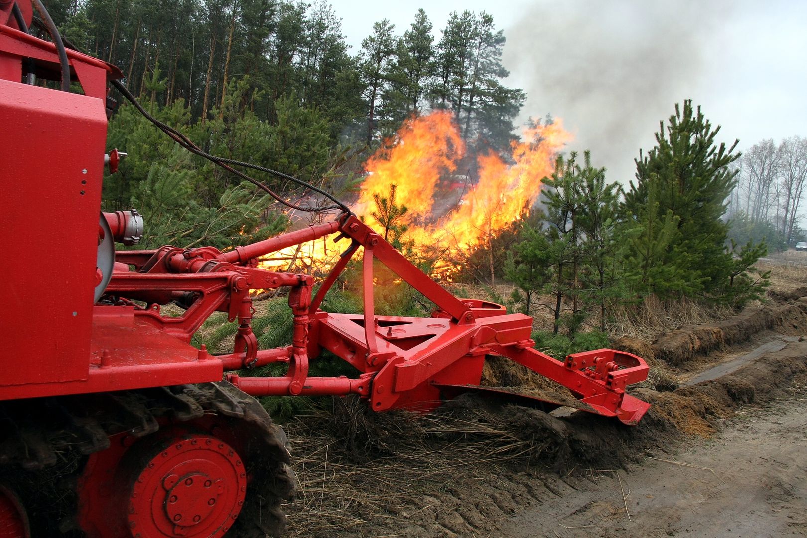 Лесной пожар