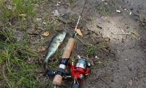 Рыбалка в Свердловской области