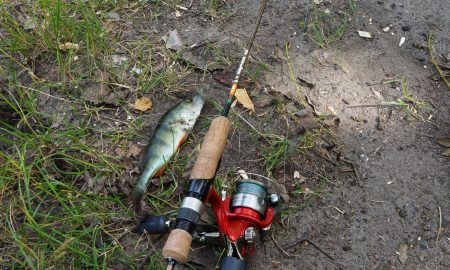 Рыбалка в Свердловской области