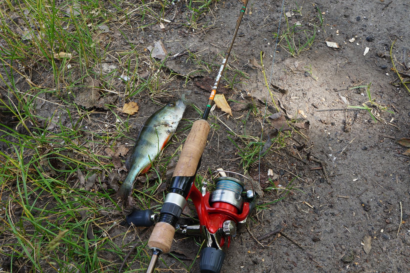 Рыбалка в Свердловской области