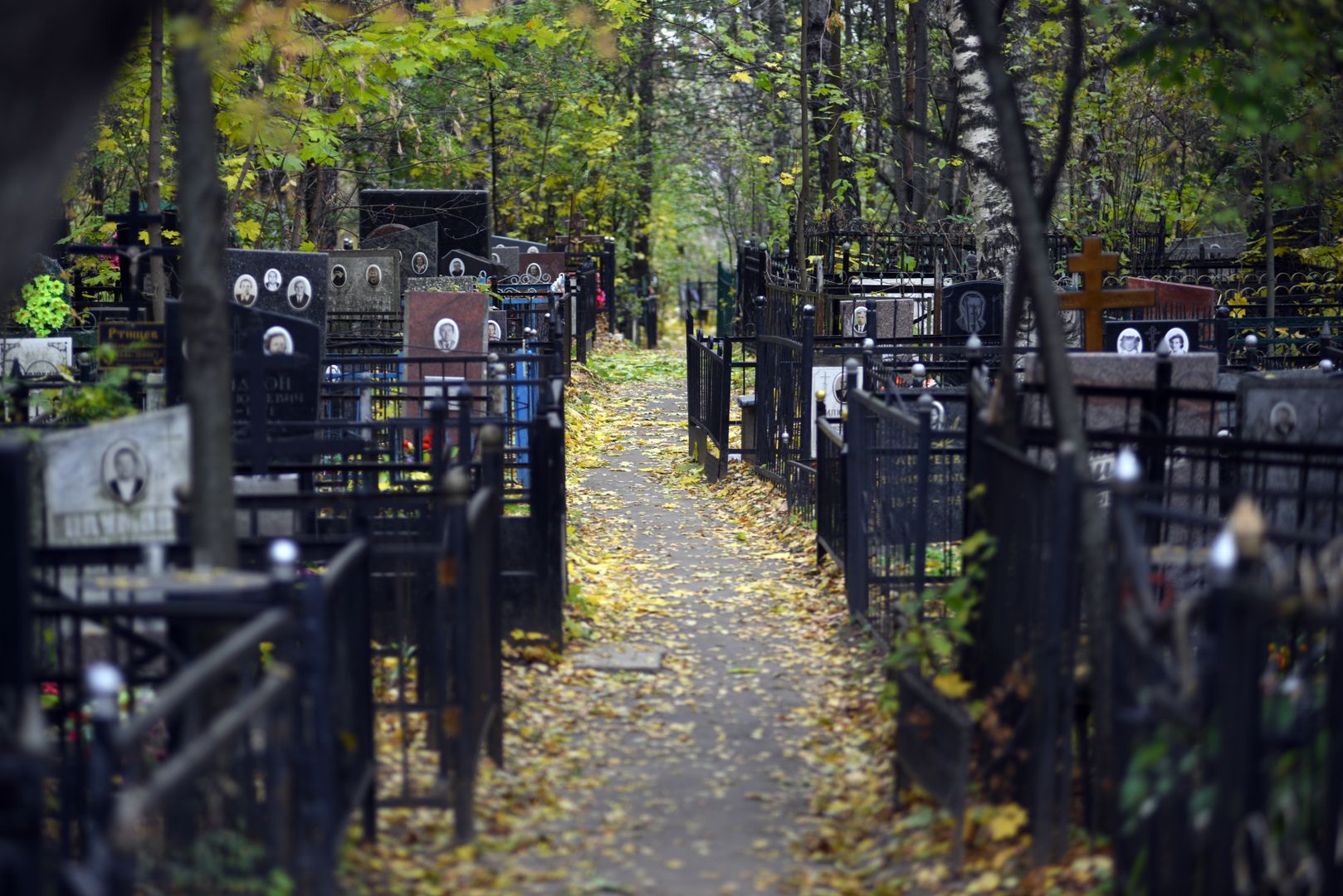 Мест на кладбищах все меньше