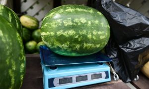 Сочный арбуз на прилавке